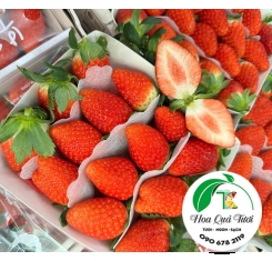 Dâu JoyFarm Hàn Quốc