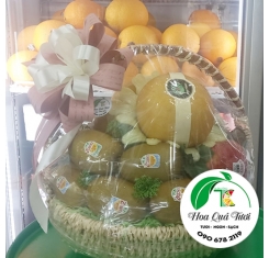 Giỏ Quà Trái Cây Cao Cấp 01
