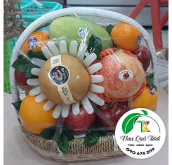 Giỏ Quà Trái Cây Cao Cấp 09