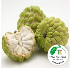 Mãng Cầu Ta