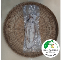 Mực Lá Đông Nguyên Con
