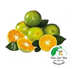 Quýt Dường Lai Dung