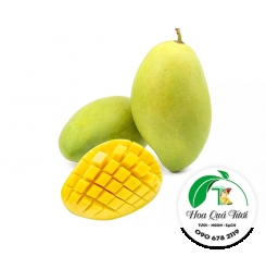 Xoài Cát Hoà Lộc